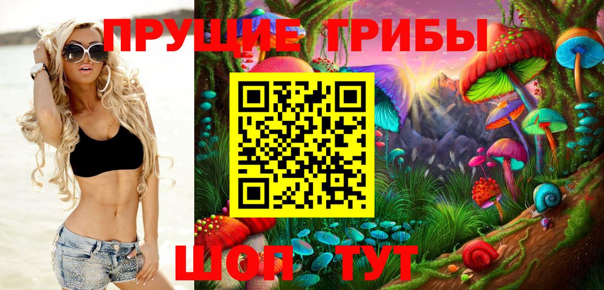 Галлюциногенные грибы GOLDEN TEACHER  Вход с VPN  Заводоуковск 